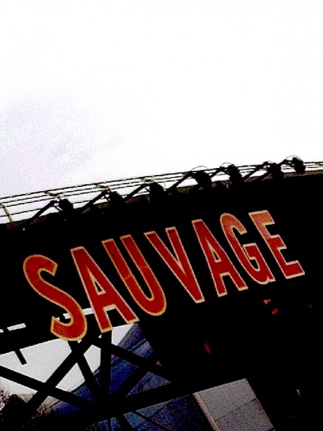 sauvage-ok1
